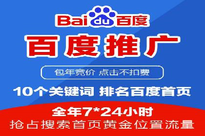企业SEM服务实战案例解析